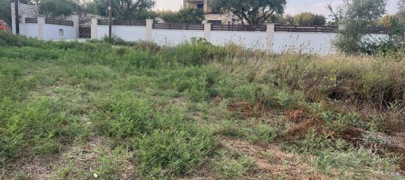  Hotel in Zakynthos, Greece No. 8510 20