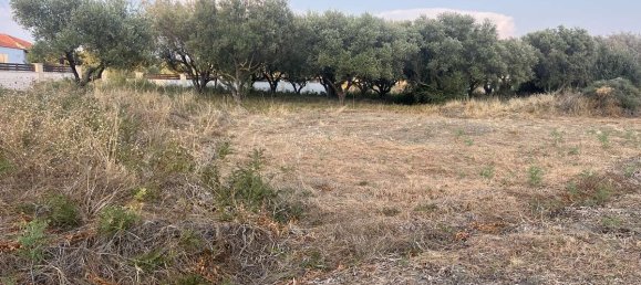  Hotel in Zakynthos, Greece No. 8510 4