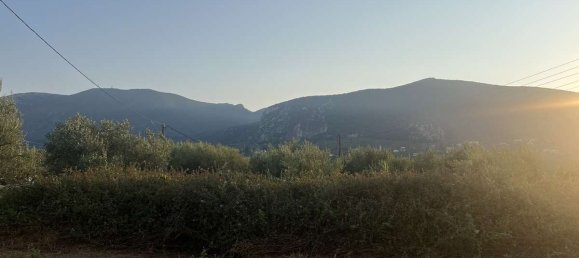 Grundstück in Zakynthos, Greece, Nr. 8510 5