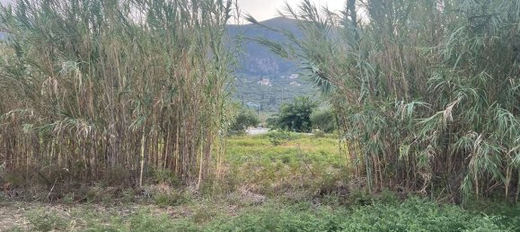  Hotel in Zakynthos, Greece No. 8510 19