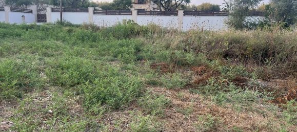  Hotel in Zakynthos, Greece No. 8510 21