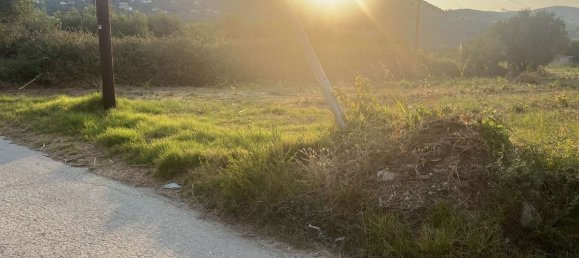  Hotel in Zakynthos, Greece No. 8510 11