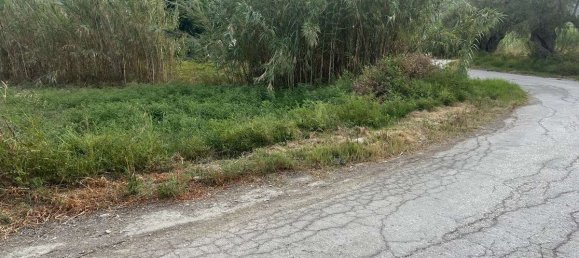  Hotel in Zakynthos, Greece No. 8510 3