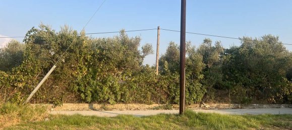  Hotel in Zakynthos, Greece No. 8510 16