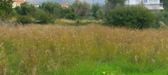 2465m² Hotel in Kalamata, Greece No. 7500 3