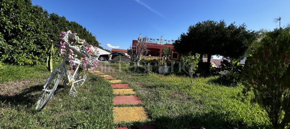 210m² Commercial property in Noto, Italy No. 365406 7