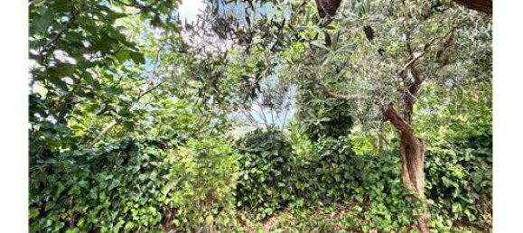 3 bedrooms House in Frisa, Italy No. 294230 6