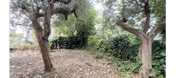 3 bedrooms House in Frisa, Italy No. 294230 7