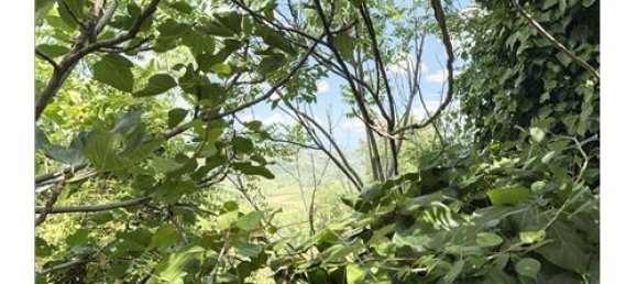 3 bedrooms House in Frisa, Italy No. 294230 9