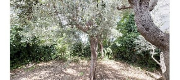 3 bedrooms House in Frisa, Italy No. 294230 13