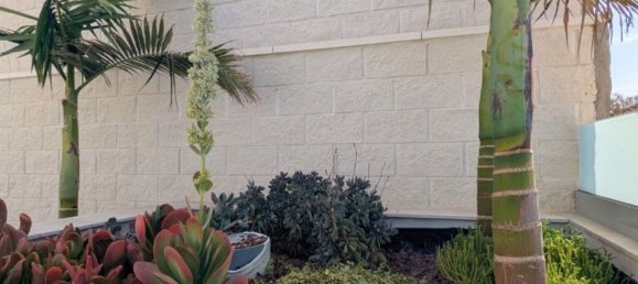 Villa T4 em Benijofar, Spain N.º 189239 4