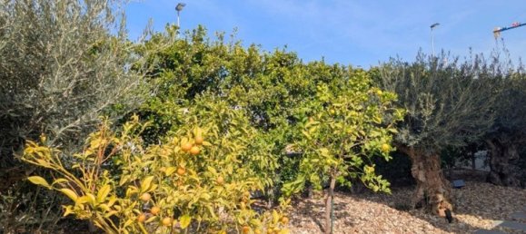 Villa T4 em Benijofar, Spain N.º 189239 44