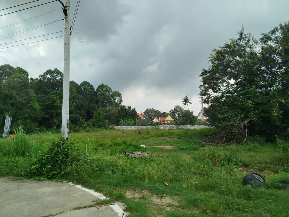 Grundstück in Bang Lamung, Thailand, Nr. 69878