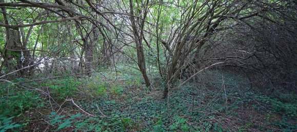 Casa T4 em Kyffhauserkreis, Germany N.º 370240 7