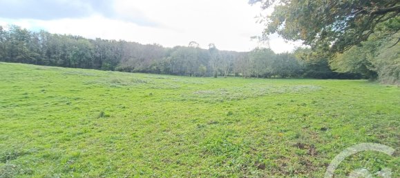 Casa de 5 dormitorios en Chassignolles, France No. 229995 17