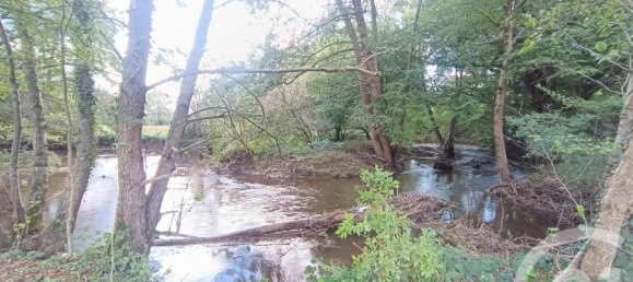Casa de 5 dormitorios en Chassignolles, France No. 229995 16