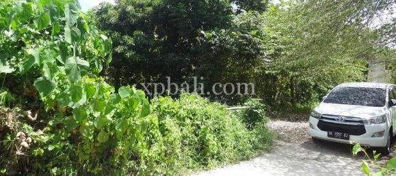  قطعة أرض في Seminyak, Indonesia 1000متر مربع رقم 3798 5