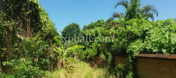  قطعة أرض في Seminyak, Indonesia 1000متر مربع رقم 3798 8