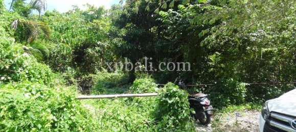  قطعة أرض في Seminyak, Indonesia 1000متر مربع رقم 3798 4