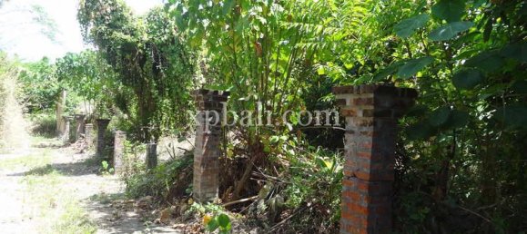  قطعة أرض في Seminyak, Indonesia 1000متر مربع رقم 3798 6