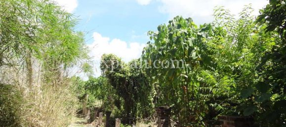  قطعة أرض في Seminyak, Indonesia 1000متر مربع رقم 3798 7