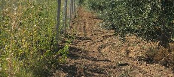 Grundstück in Rutigliano, Italy 6700m², Nr. 302883 4