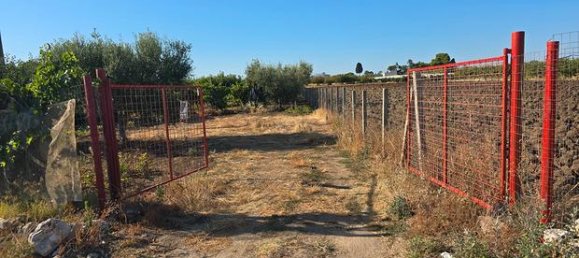 Grundstück in Rutigliano, Italy 6700m², Nr. 302883 2