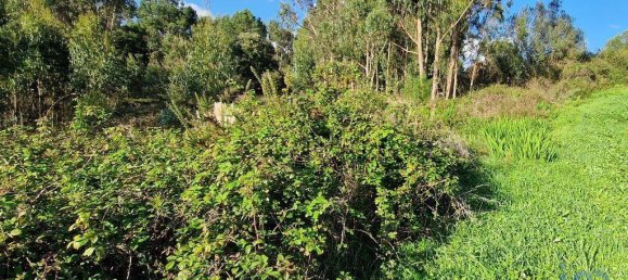 10000m² Land in Mafra, Portugal No. 126787 2