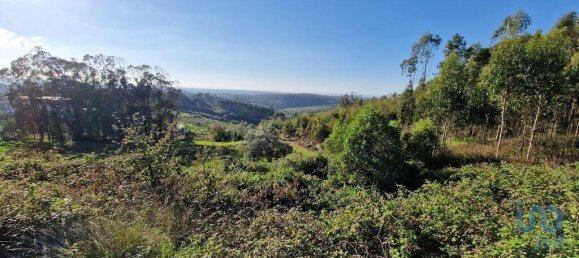 10000m² Land in Mafra, Portugal No. 126787 15