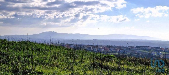 10000m² Land in Mafra, Portugal No. 126787 18