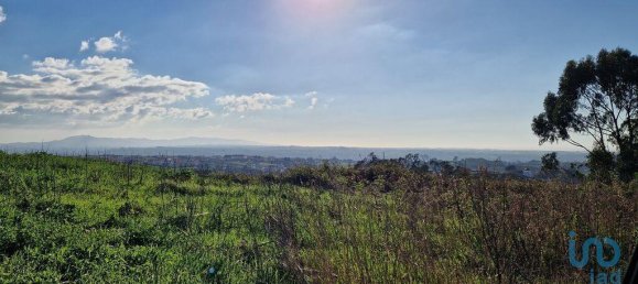 10000m² Land in Mafra, Portugal No. 126787 9
