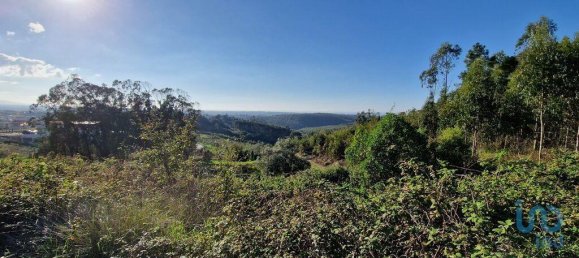 10000m² Land in Mafra, Portugal No. 126787 13