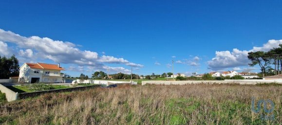 10000m² Land in Mafra, Portugal No. 126787 24