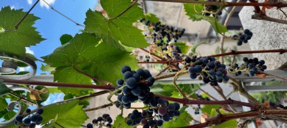 3-salle Maison à Modica, Italy No. 293971 37