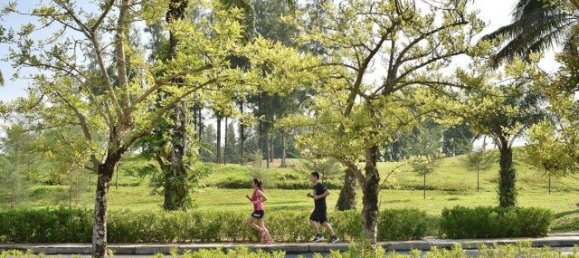 3 Schlafzimmer Villa in Phuket, Thailand, Nr. 12480 13