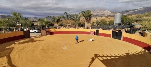 4 Schlafzimmer Haus in Alora, Spain, Nr. 47824 26