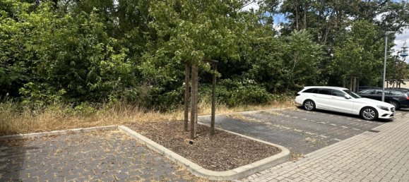 3 bedrooms Apartment in Ludwigshafen am Rhein, Germany No. 29667 30