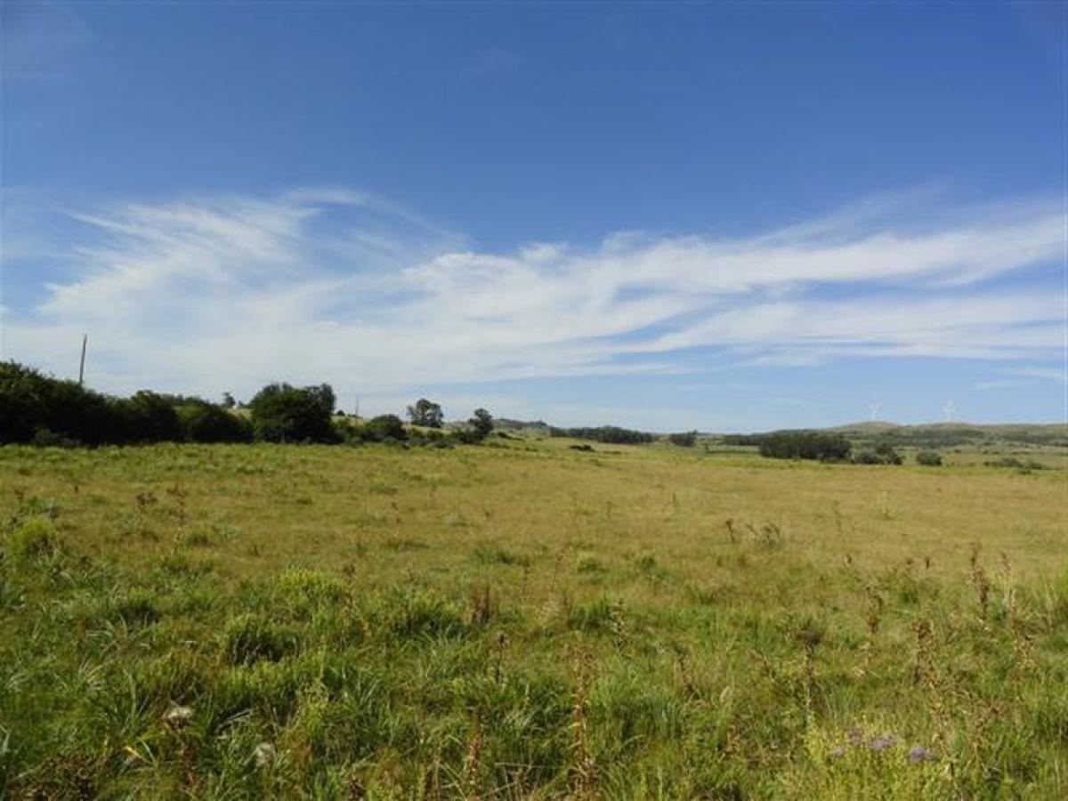  Farm in Maldonado, Uruguay No. 14089