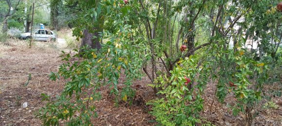 Вилла с 9 комнатами в Мондавио, Италия № 252182 5