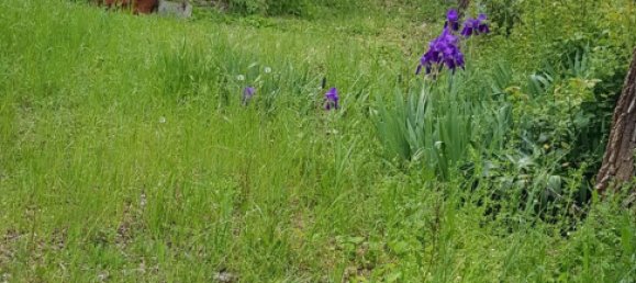 Вилла с 9 комнатами в Мондавио, Италия № 252182 14