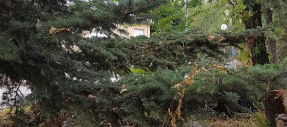 Вилла с 9 комнатами в Мондавио, Италия № 252182 10