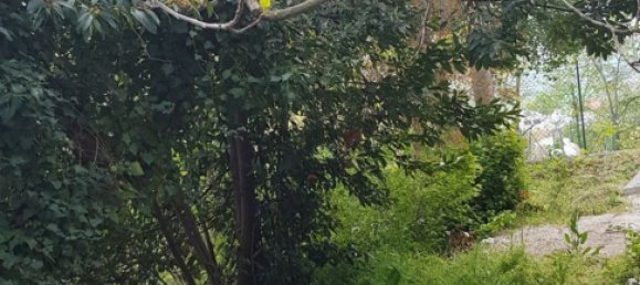 Вилла с 9 комнатами в Мондавио, Италия № 252182 18