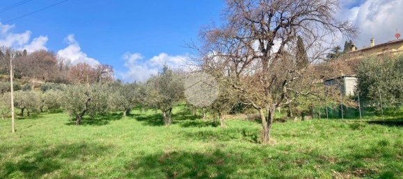  قطعة أرض في Terni, Italy 5460متر مربع رقم 263062 26