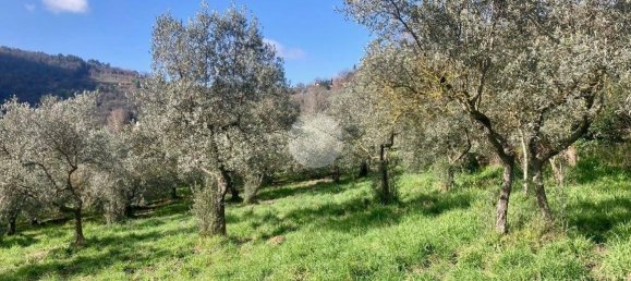  قطعة أرض في Terni, Italy 5460متر مربع رقم 263062 23