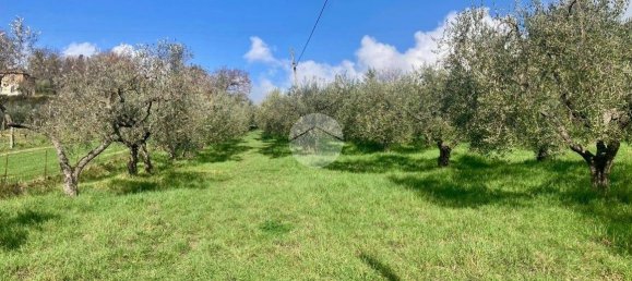  قطعة أرض في Terni, Italy 5460متر مربع رقم 263062 18