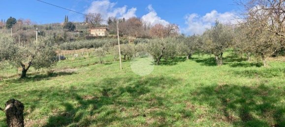  قطعة أرض في Terni, Italy 5460متر مربع رقم 263062 19