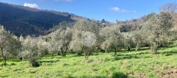  قطعة أرض في Terni, Italy 5460متر مربع رقم 263062 3