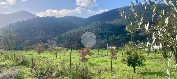  قطعة أرض في Terni, Italy 5460متر مربع رقم 263062 7