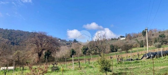  قطعة أرض في Terni, Italy 5460متر مربع رقم 263062 22