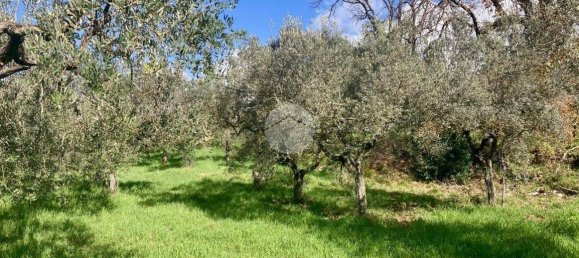  قطعة أرض في Terni, Italy 5460متر مربع رقم 263062 10